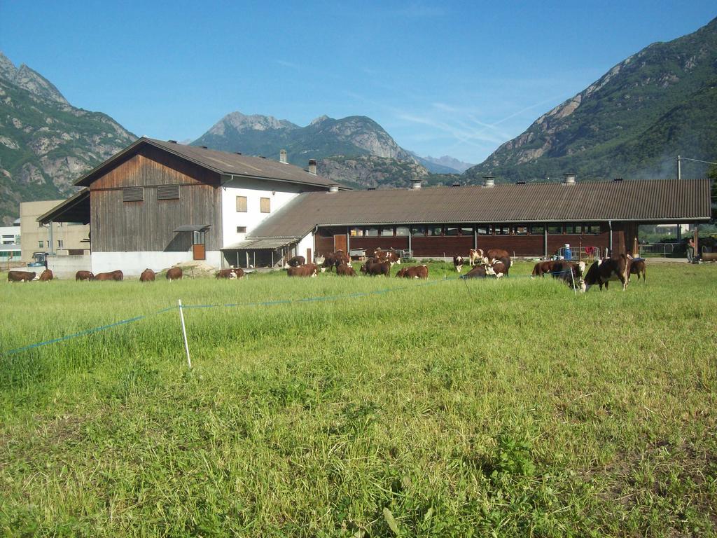 Agriturismo La Grange 폰트 세인트 마르틴 외부 사진
