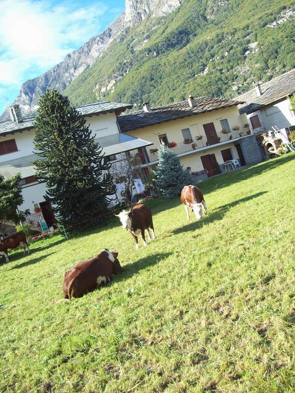 Agriturismo La Grange 폰트 세인트 마르틴 외부 사진